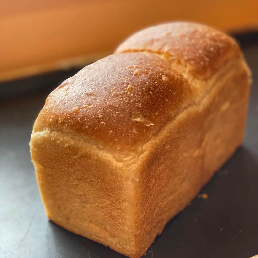 魔女菅原のグルメインスタ