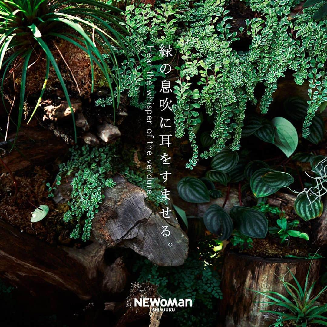 NEWoMan_officialさんのインスタグラム写真 - (NEWoMan_officialInstagram)「#NEWoMan ・ 「緑の息吹に耳をすませる。」 ・ この現代、「幸せ」の基準は人それぞれです。 数え切れない選択肢が存在するということは、 現代における幸福のひとつでしょう。 けれど、幸福の原点や正体はみな同じなのかもしれません。  私たちは日々呼吸をするようにデジタルの恩恵を受けており 「デジタル化」なんて言葉にするのも、 もはや野暮に感じます。 便利で効率を求める暮らしを送る反面、 なぜ私たちはスマホ依存やSNS疲れなどに警鐘を鳴らし 時にインターネットから意識的に離れることを 推奨するのでしょう。 スローライフを送るというささやかな夢を 持ち続けるのでしょう。  きっと私たちには「自然とともにありたい」という ヒトとしての本能が宿っているのではないでしょうか。 ありのままの自分にかえろうとした時、 あなたの心はどこにありますか？ もしそれが豊かな自然の中にあるのなら、 遠くの緑を心に描き、その息吹に耳をすませてみませんか。  自分だけの小さなオアシスである、自分の箱庭。 箱庭で過ごす時間が増えた今こそ、 広い世界との繋がりや結びつきを信じて。 ・ -cast- Photo & Film Photography：Shinichi Sasaki（SIGNO） Film Edit：Kazuki Gotanda（SIGNO） Model：Amane（unknown model management） Hair & Make-up：Masayoshi Okudaira Stylist：Yuriko Eguchi Produced by：Japan Life Design Systems ・ #FEELING #緑の息吹に耳をすませる #ニュウマン #instagood #tokyo #shinjuku #japan #fashion #ad #NEWoMan_THEME #2020ss #20ss #earlysummer」6月10日 11時00分 - newoman_shinjuku