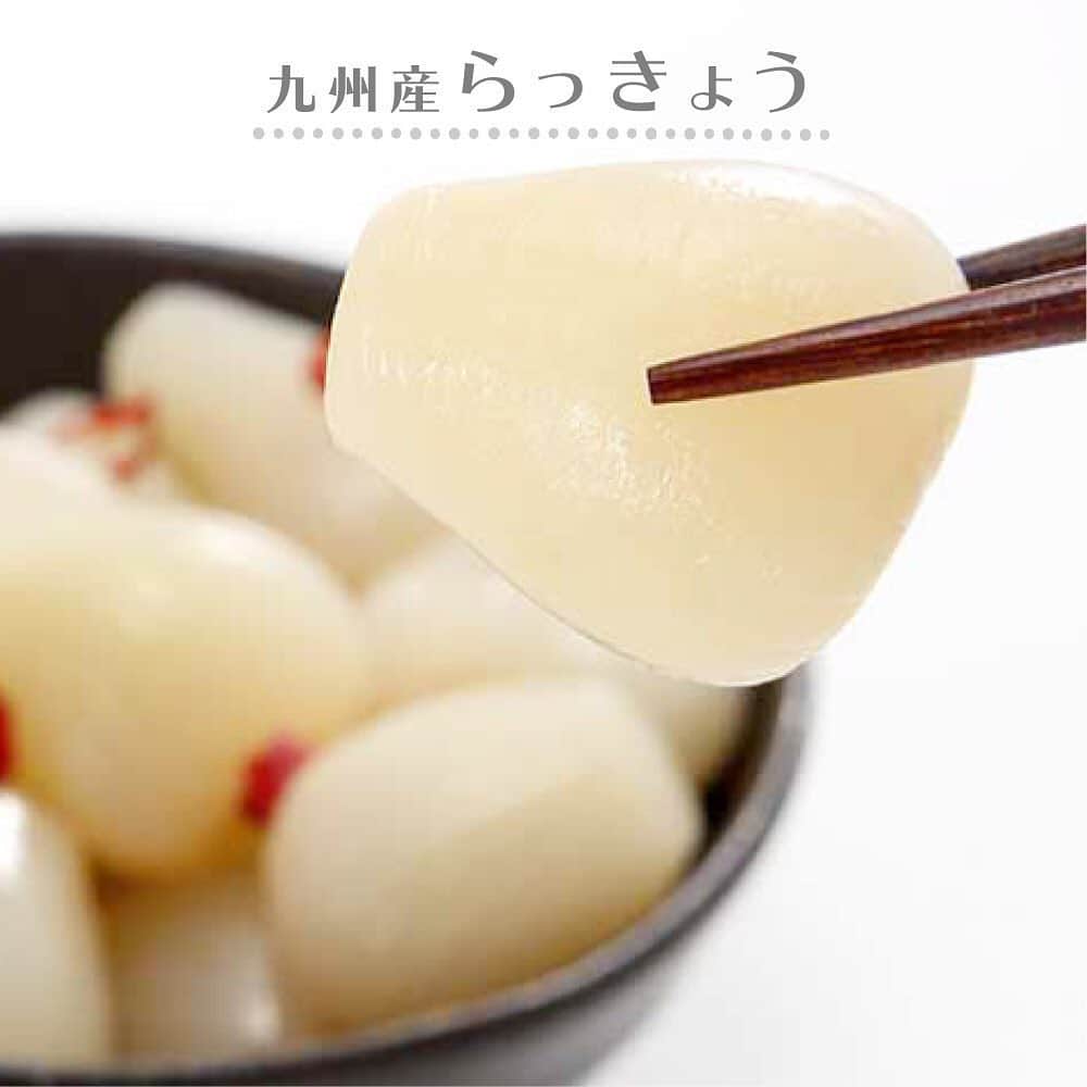 のインスタグラム：「『毎日の食卓をフォローできるような一品をお届け』﻿ ﻿ 水溶性食物繊維はキャベツの約50倍﻿ ↓﻿ ↓﻿ ↓﻿ 【九州産らっきょう】﻿ ﻿ 粒がしっかりしておりシャキシャキ歯応えもバツグンです。﻿ ﻿ らっきょうの辛みが少なくとっても食べやすい♪﻿ 一度食べるとヤミツキに𓀠𓀠﻿ ﻿ 味は甘酢漬け・ピリ辛・塩漬けの3種類からお選びいただけます。﻿ ﻿ 九州産らっきょうなので、安心してお召し上がりください☺︎﻿ ﻿ ﻿ - - - - - - - - -﻿ ﻿ ▶️会員登録いただくと《全商品10%OFFで購入頂けます！》﻿ もちろん登録は無料です。﻿ ﻿ 3,980円以上購入で送料無料。その上、オススメ商品を1つプレゼント🎁﻿ ﻿ ﻿ ▶️プロフィールのリンクからショップをご覧いただけます♪ ☞ ☞ ☞@sunao831 ﻿ ⁎﻿ ⁎﻿ ﻿ ⁺ ⁺ ⁺ ⁺ ⁺ ⁺ ⁺ ⁺ ⁺ ⁺ ⁺ ⁺ ⁺ ⁺ ⁺ ⁺ ⁺ ⁺ ⁺ ⁺ ⁺ ⁺ ⁺ ⁺ ⁺ ⁺ ⁺ ⁺ ⁺ ⁺ ⁺ ﻿ #sunao831 #九州 #宮崎 #国産 #無添加 #時短レシピ  #時短 #時短ごはん #時短セット #すなお食堂 #健康 #おうちごはん #簡単ごはん #簡単アレンジ #つくりおきレシピ #らっきょう #ラッキョウ #ダイエット #漬物 #無添加 #九州産 #やみつき #食物繊維 #栄養満点 #アレンジ料理 #健康 #夏メニュー」