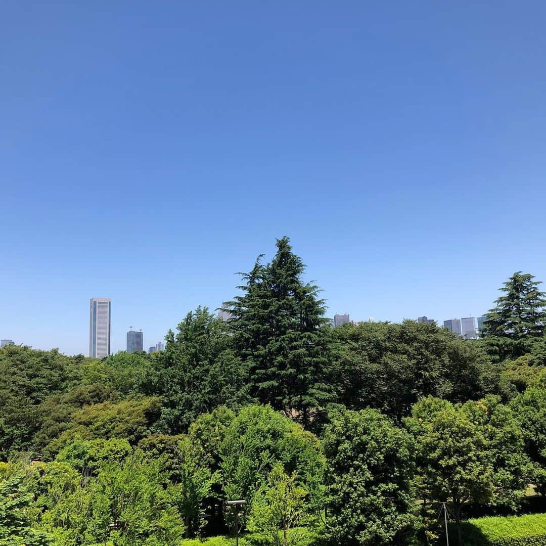 川坂勇太さんのインスタグラム写真 - (川坂勇太Instagram)「東京はこの青空！ 気温も12:00時点で31.3℃と東京は今年一番の暑さに。 とはいえ、そろそろ梅雨入りっぽい週間天気予報になってるな。 #いまそら」6月10日 12時40分 - yutakawasaka