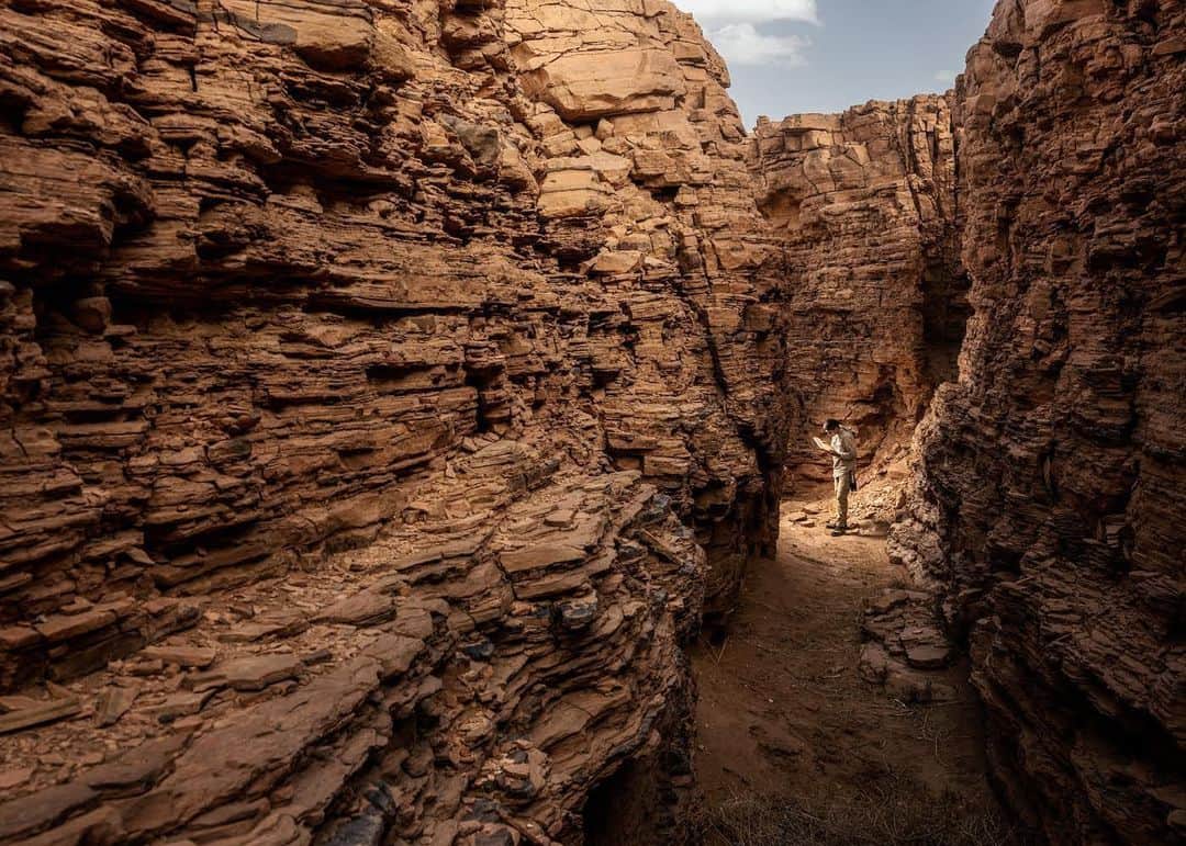 thephotosocietyさんのインスタグラム写真 - (thephotosocietyInstagram)「Photo by @paoloverzone | Gara Sbaa, Morocco. A student of the University of Detroit Mercy looking at limestone slabs containing fish fossils. Scouting is a key part of the work of paleontologists. For @natgeo documenting the Spinosaurus findings in the moroccan desert. Spinosaurus was one of the largest predatory dinosaurs of all time. It is named after the elongate dorsal spines, that supported an enormous “sail” of skin. In contrast with other dinosaurs – which are predominantly terrestrial animals – a long list of anatomical features are indicative of Spinosaurus being adapted to live in freshwater, like crocodiles and hippopotami. #spinosaurus」6月10日 12時46分 - thephotosociety