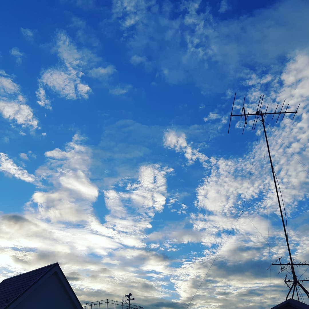 のインスタグラム：「ピカピカの夏の空でキレイだー✨ 明日から雨だなんて信じられない。 この気持ち良さは今日までかな。 話は変わりますがフルーツを丸くくり貫くやつ、絶対あるはずだったのにあると思ってたとこに何故かなくて散々探して、時間ももったいないから何軒も探したけど売ってない。 通販で取り寄せるまで待てない。 なんで、何処にいったんだろう…。 私の記憶が飛んでるの？捨てたの？ おかげでキッチンの奥の方までひっくり返して掃除したりで疲れたのでこの空に癒された。 マジでなんでないんだろう…笑」