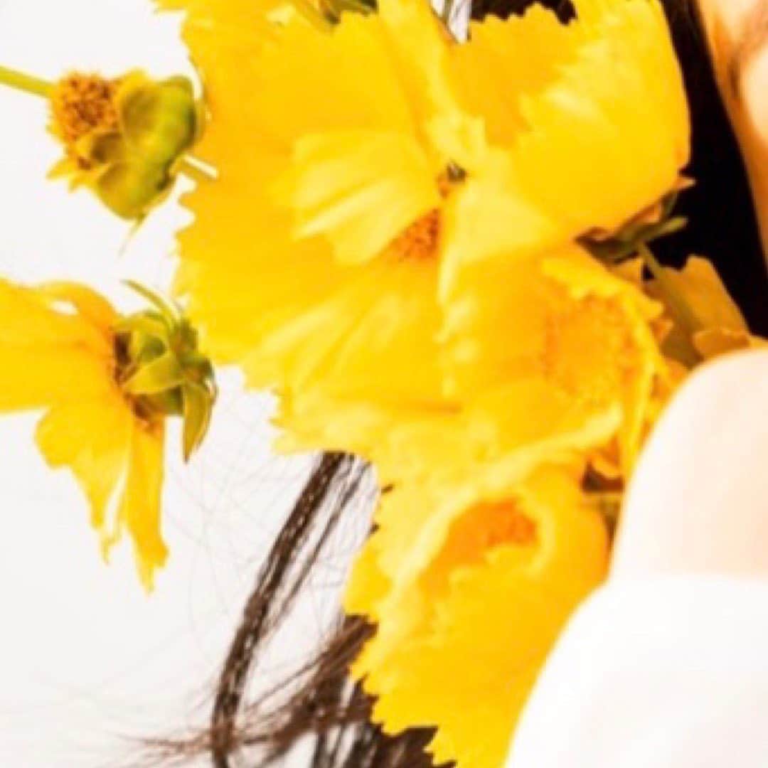 高田夏帆さんのインスタグラム写真 - (高田夏帆Instagram)6月10日 13時15分 - takadakaho