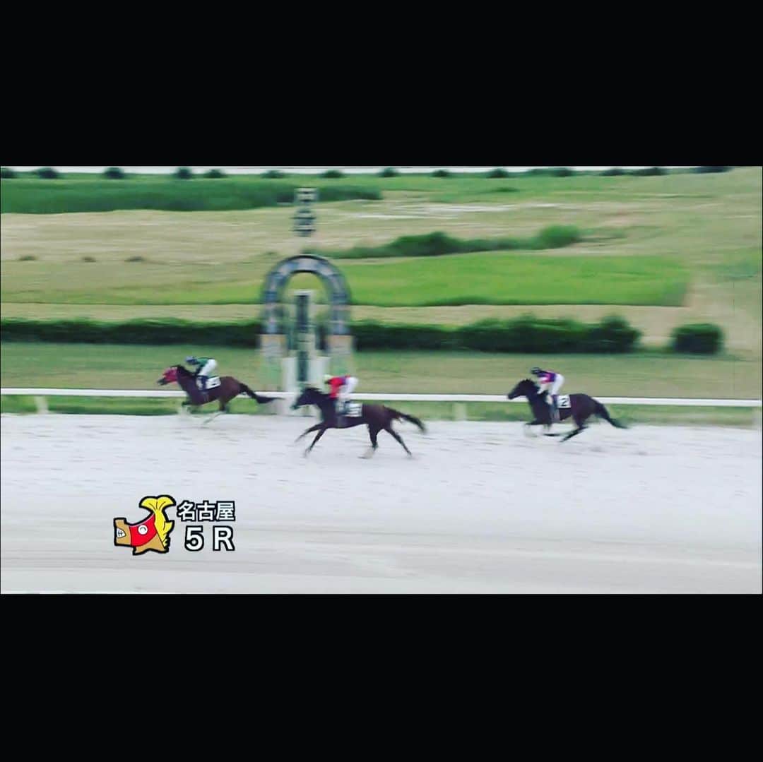 矢部美穂さんのインスタグラム写真 - (矢部美穂Instagram)「名古屋5レースに出走したギャップパワーですが、またもや2着💦次こそかなぁ⁉️それでも良いレースでした✨イケメン加藤聡一騎手に次は決めてほしい💛そして、川崎競馬場6レースに出走するピュアドリーマーにもイケメン山林堂信彦騎手✨スピードはあるので好勝負期待したいです💛#ギャップパワー#名古屋競馬 #坂口義幸厩舎 #加藤聡一騎手#イケメン騎手 #馬主ライフ#馬主#矢部美穂」6月10日 13時21分 - miho.yabe.0607