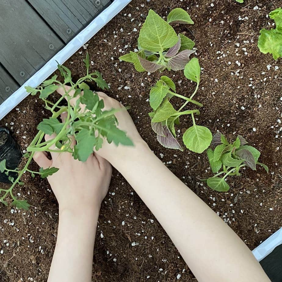 サニー さんのインスタグラム写真 - (サニー Instagram)「괜히 시작했나봐..... 미니 텃밭이 아니라 대왕 텃밭을 꾸미게 생겼어..... #하다보니욕심난다 #화분추가주문중 #하다보니청춘불패」6月10日 13時26分 - 515sunnyday