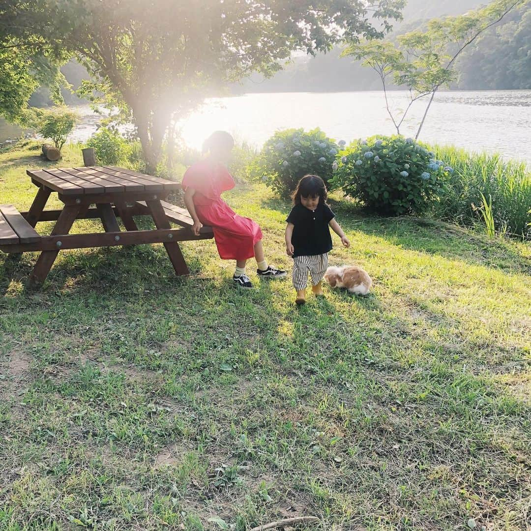 nonさんのインスタグラム写真 - (nonInstagram)「家から3分の湖のほとり。 夏の初めの気配と夕方きらきら。  家族カレンダー 6月5日〜9日更新しました。  花種さんが巨大亀を捕まえてきたり、樹根の鼻があわや⚡️と思ったら、つぎは喘息発作が起こったり... とバタバタな日々の中の おかしかったり、うれしかったり。  プロフィールよりとべます」6月10日 13時30分 - non19841120