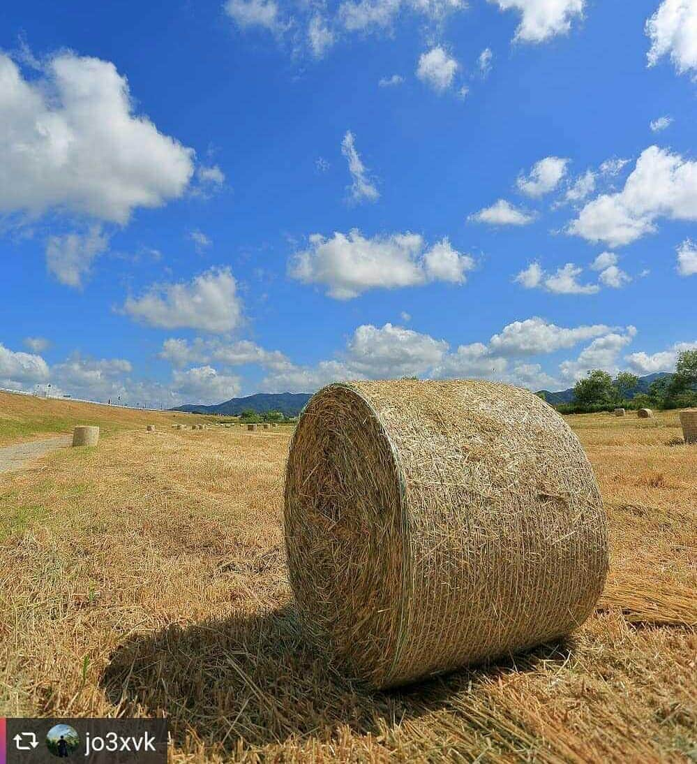 兵庫県のインスタグラム