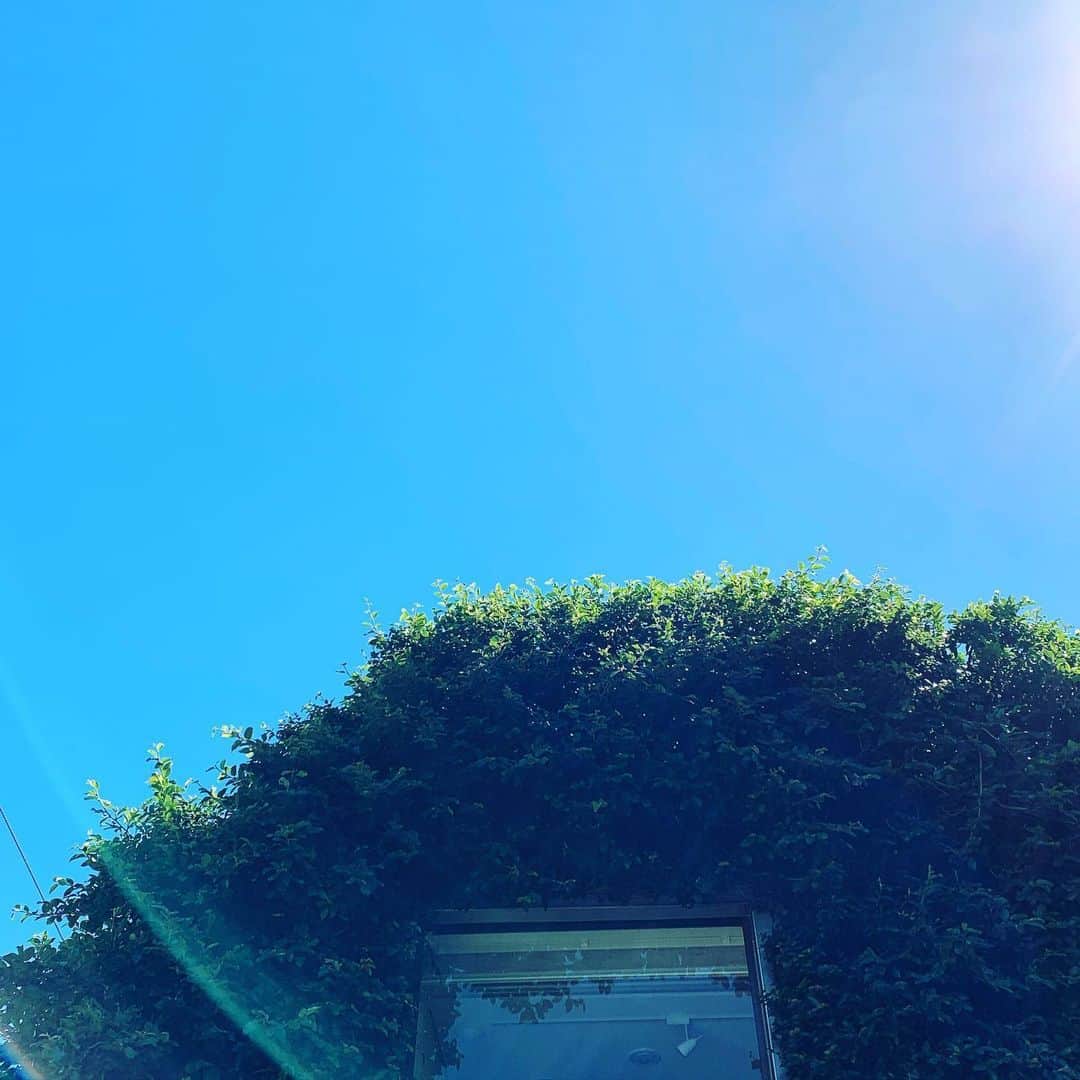 のインスタグラム：「#イマソラ #sky #feelgood #music #soul #rb #singer #lovelife #instaview」