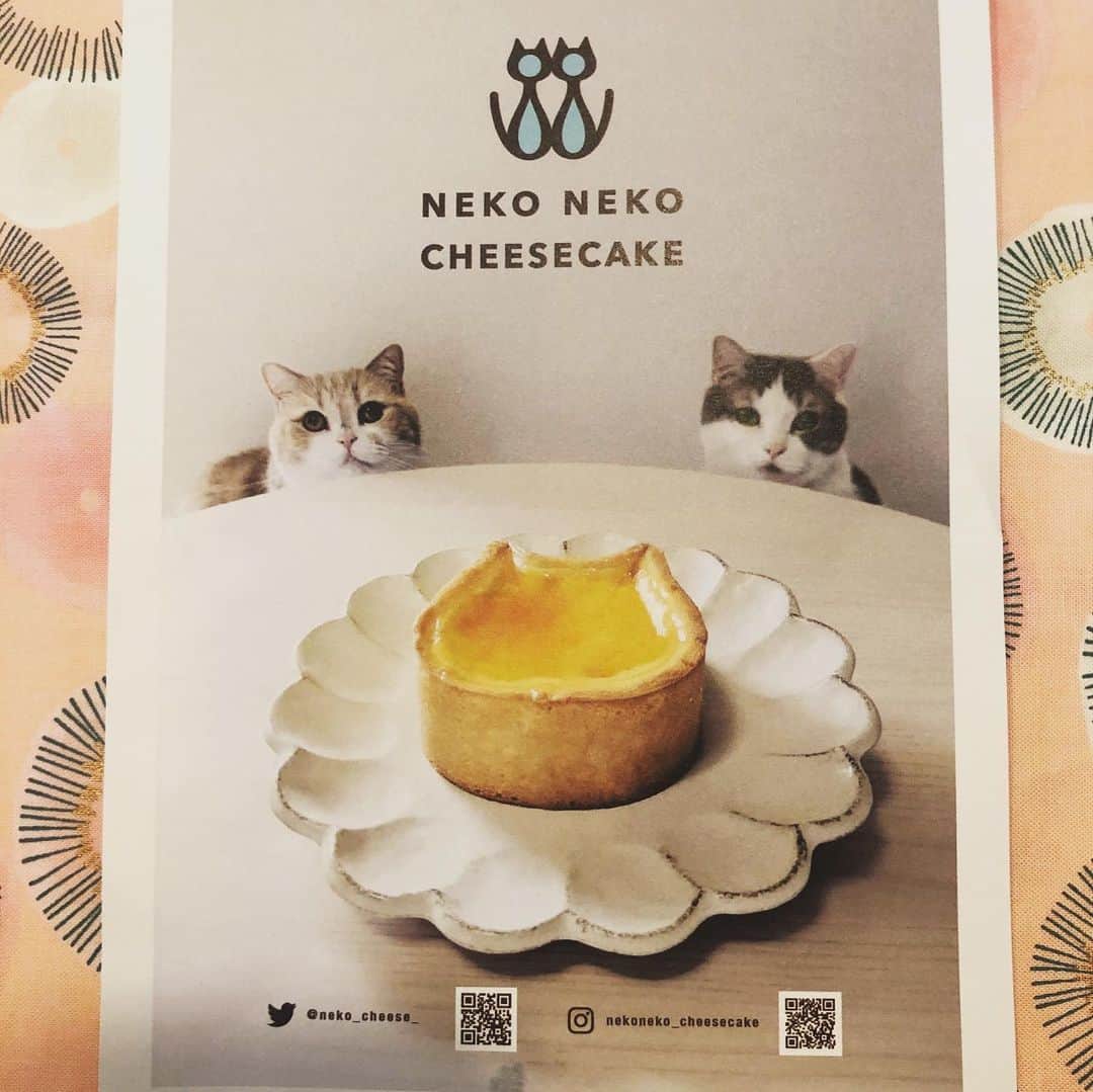 夏奈子のインスタグラム：「小さい時から猫が大好き🐈 ニャんで🐈 (過去4匹いたニャ🐾) 実家には今も1匹猫がいるニャ🐱🐾 猫形のチーズケーキ専門店「ねこねこチーズケーキ」がオープンしたとTwitterで見つけて！！ それはもう誕生日やし、 チーズケーキ好きやし、 猫ちゃんやし！  買うしかニャい‼️ ってわけで 猫形のチーズケーキ専門店「ねこねこチーズケーキ」 お取り寄せしました〜🐈❤️ “チーズの王様”と称される「ブリー・ド・モー」を使用🐈 これに自家製の杏ジャム。 甘酸っぱい杏の果実感です🍊 外のクッキー？みたいな部分も美味しかった^ - ^  チーズケーキ大好きなので とても濃厚で美味しくいただニャした🎂 4.5日で食べ切りましたとさ🐯 御馳走様でしニャ〜🐈 #チーズケーキ #チーズの王様ブリードモー  #誕生日  #ケーキ #ねこねこチーズケーキ  #猫 #猫好き  #love #happy #ダイエットは明日から」
