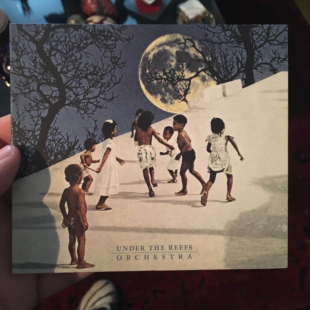 ジャンポールレスパナールのインスタグラム：「. Superbe découverte @underthereefsorchestra ♥️」
