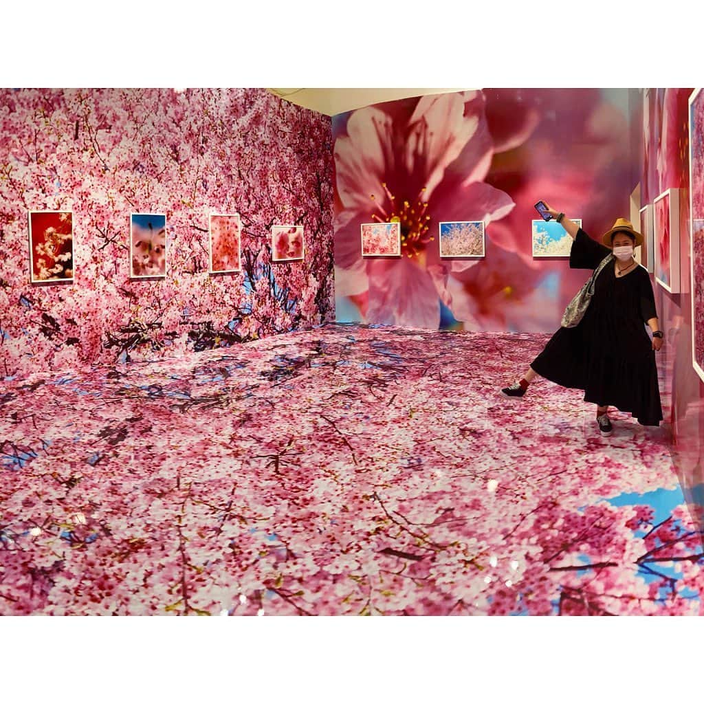 林唯衣さんのインスタグラム写真 - (林唯衣Instagram)「密を避けるために歩いて帰る最中に見つけた桜を一人で眺めた今年の春。初夏に観たフォトジェニックな桜はこの先もずっと忘れないだろうなぁ☺️🌸　#蜷川実花展」6月10日 16時16分 - yui__hayashi