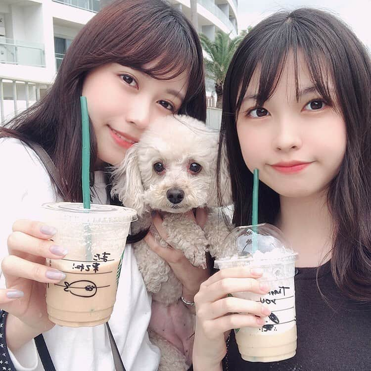 堺美紗稀さんのインスタグラム写真 - (堺美紗稀Instagram)「. 妹ちゃんとわんこ🐶 #トイプードル #スタバ #姉妹」6月10日 16時29分 - misaki__sakai