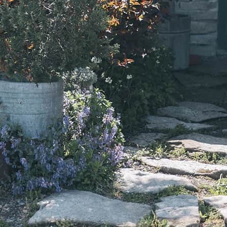 ヒラハルのグルメインスタ