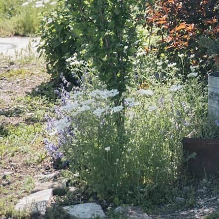 ヒラハルのグルメインスタ