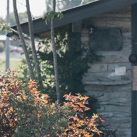 ヒラハルのグルメインスタ