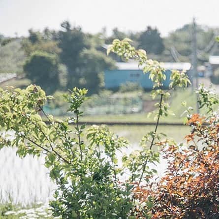 ヒラハルのグルメインスタ