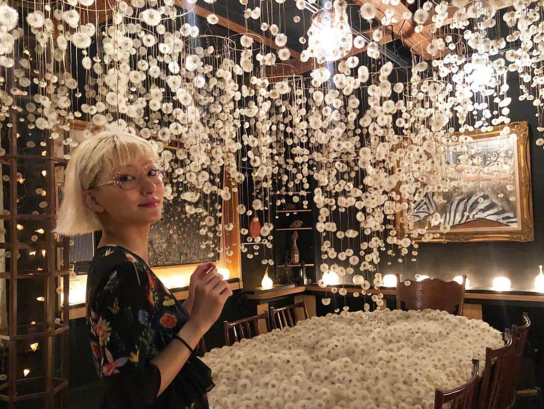 のインスタグラム：「tree sea of Dandelion たんぽぽの樹海に来ました🌼」