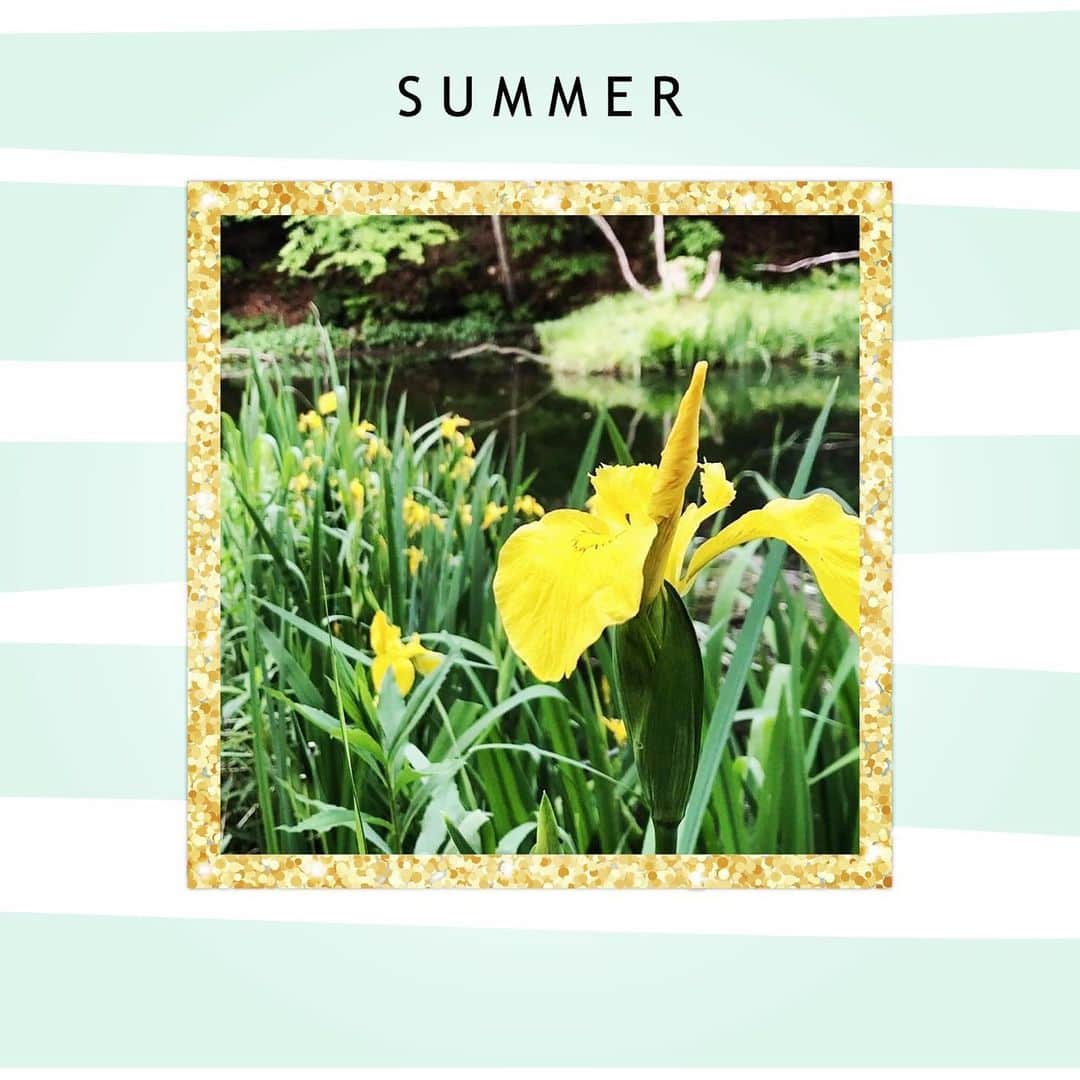 脇田唯のグルメインスタ