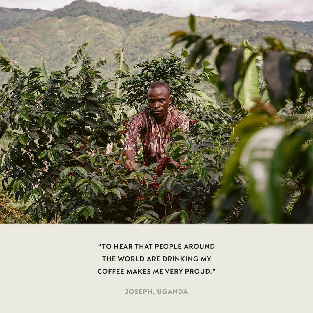 Nespressoさんのインスタグラム写真 - (NespressoInstagram)「The Reviving Origins program empowers coffee farmers in fragile regions to bring back coffee that was almost lost. The extraordinary resilience of farmers like Joseph motivates us to keep on doing.  #BeyondTheBean #CoffeeStories #RevivingOrigins #Nespresso」6月10日 19時06分 - nespresso