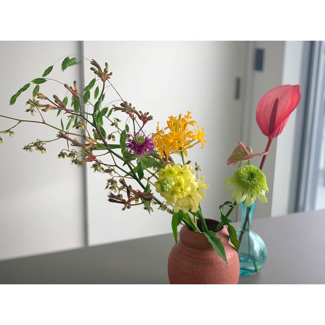 土井地恵理子さんのインスタグラム写真 - (土井地恵理子Instagram)「・ こないだ買いに行った @chiemiwakai_duft のお花💐 ・ ・ 独特なカラフルさと 個性溢れるお花たちが 可愛くて大好きなお店❤︎ ここのお花は1本1本を 丁寧にこだわっていて 全てが主役になってる。 ・ ・ 買って3日目なのに まだこんなに元気✨ (すぐ撮れば良かったのにww) ・ ・ お花はいつか枯れてしまうし 後には残らない。 でもお花がもたらしてくれる心の豊かさに お金を払うことは とても価値のあることだと思う❤︎ ・ ・ #duftflower #flower #お花のある暮らし #世田谷 #松陰神社 #colourful #カラフル #myhome #lifestyle #ライフスタイル #d_home」6月10日 19時37分 - ericodoiji