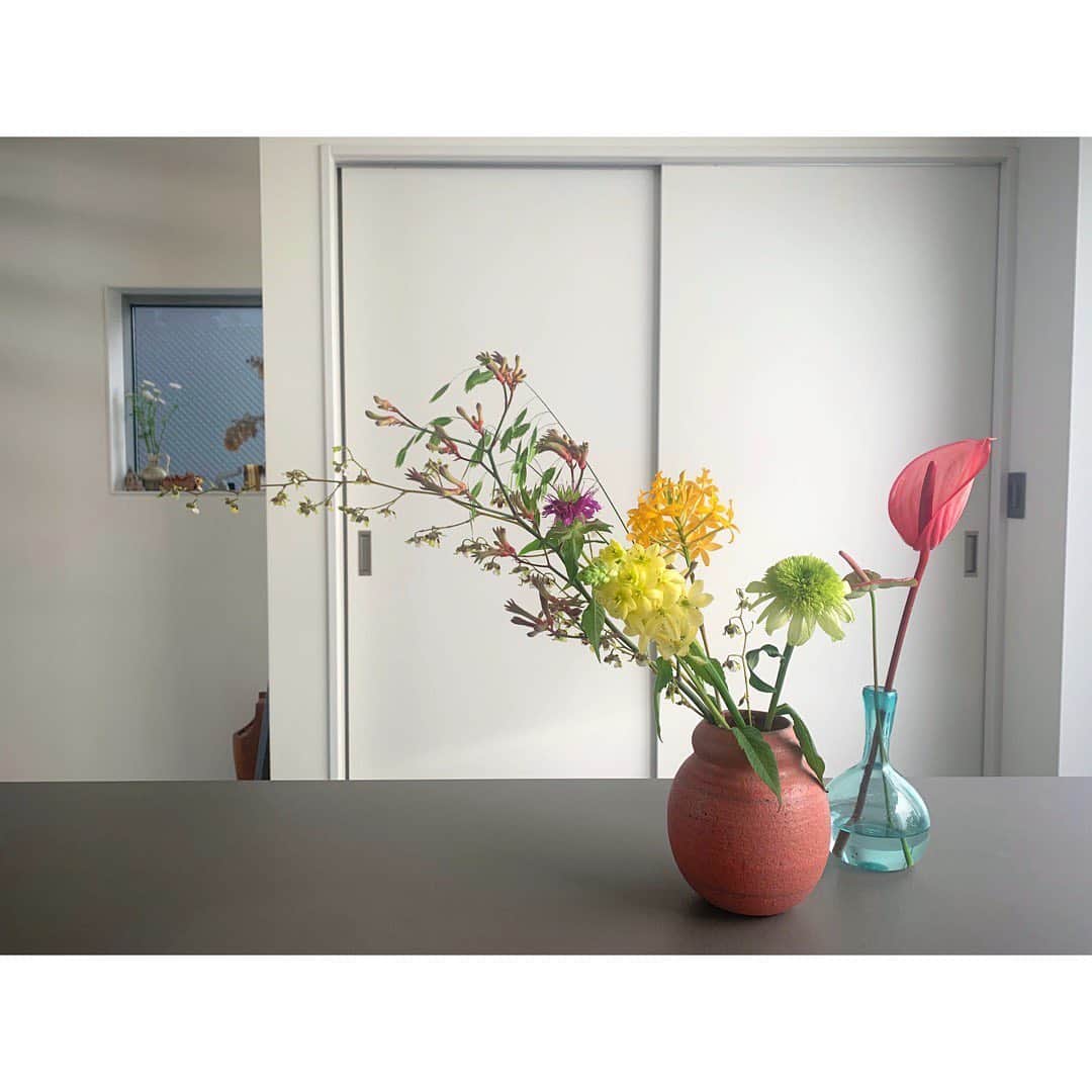 土井地恵理子のインスタグラム