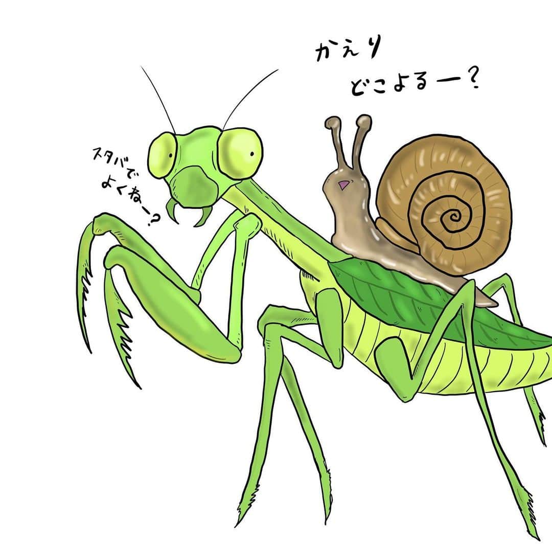 Deppaさんのインスタグラム写真 Deppainstagram 誕生日の方から カマキリ描いてー と言われたので トライしてみました カマキリ かなりムズかったw 誕生日おめでとう カマキリの人 W 色んな質問が来ますが もちろん見て書いてますよ カマキリの