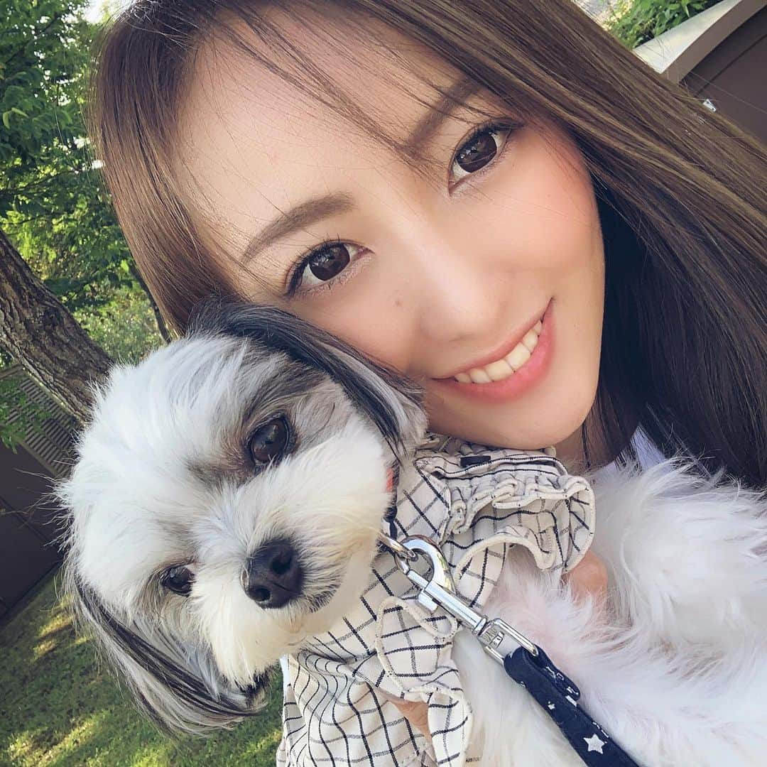 福野来夢のインスタグラム：「昨日6月9日は、 愛しいぺろりんが5歳になりました🐶🎉 ほんと、あっという間！ こないだまで片手で収まる 丸っこいモップみたいなのが ちょこちょこ足元歩いてたのになあ。 いつしか食欲も旺盛になり、 わんこ用ケーキをがっついていたので 私も少し食べてみたら、、 うん。味なくてまずかった笑 . そんな私はやっと美容院に行きましたよん😘 暗めのカラーにして少し前髪切ってもらった✂️ 細かい事伝えなくても 私好みを分かってくれとる高安氏　@freera_takayasu 🙏 . #ぺろりん #誕生日 #6月9日 #5歳 #チワワ #マルチーズ #ミックス #チワマル #写真きらいなぺろりん #やらされてる感満載の顔 #3ヶ月ぶりの美容院 #freera #表参道」