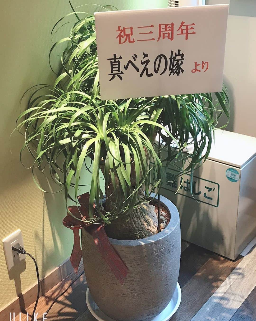 池田真一のインスタグラム：「嫁ありがとう☺️」