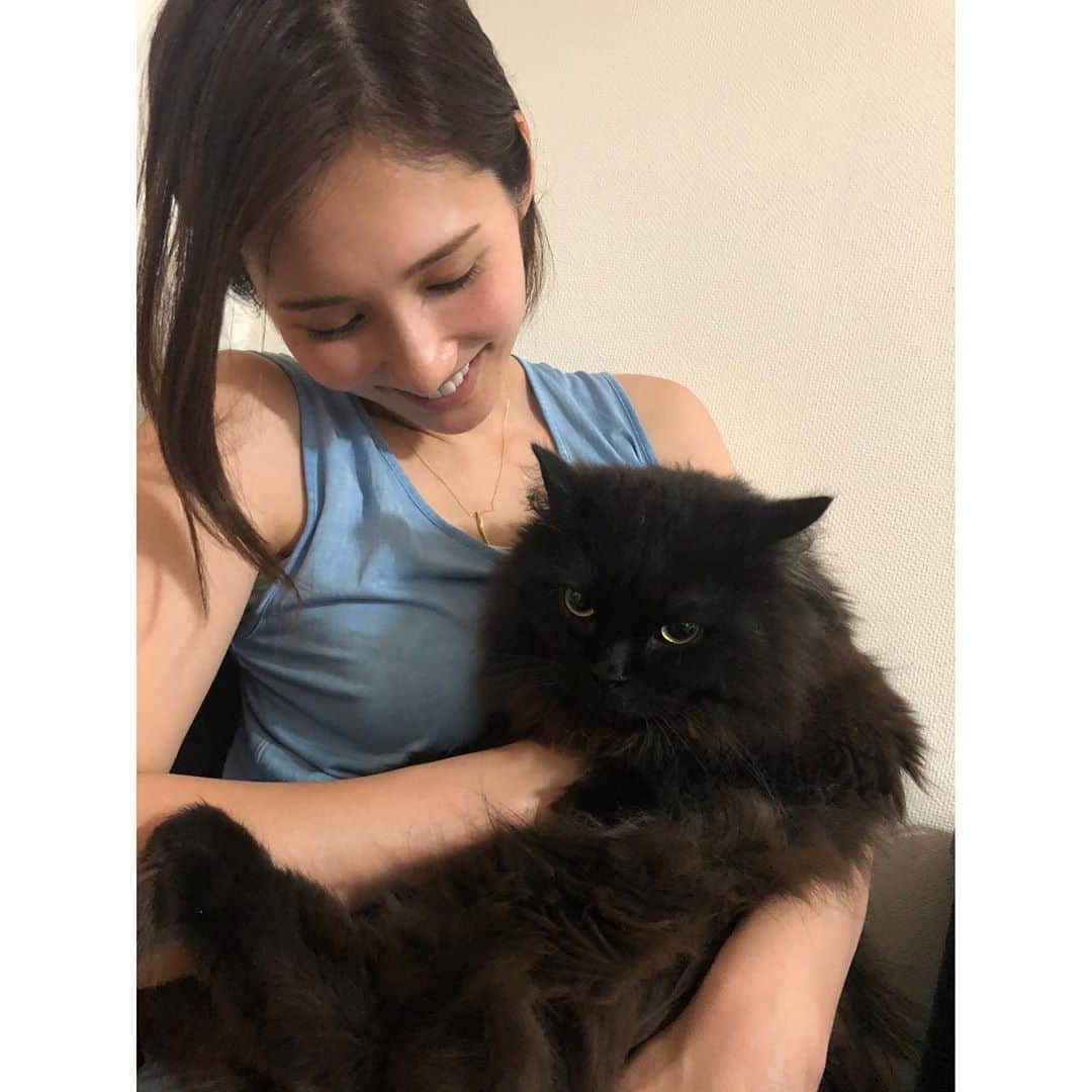 春輝のインスタグラム：「酔っぱらいの戯れ🐈  #バレンティン#Balentien #メインクーン#MaineCoon#猫#cat #春輝#haruki」