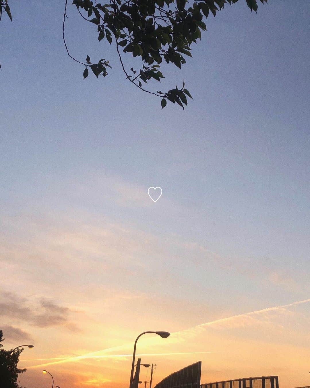 橋本乃依さんのインスタグラム写真 - (橋本乃依Instagram)「・ 飛行機雲が二重になってて綺麗でした。 明日も素敵な日になりますように。  #いつかの空」6月10日 20時16分 - noihashimoto_official