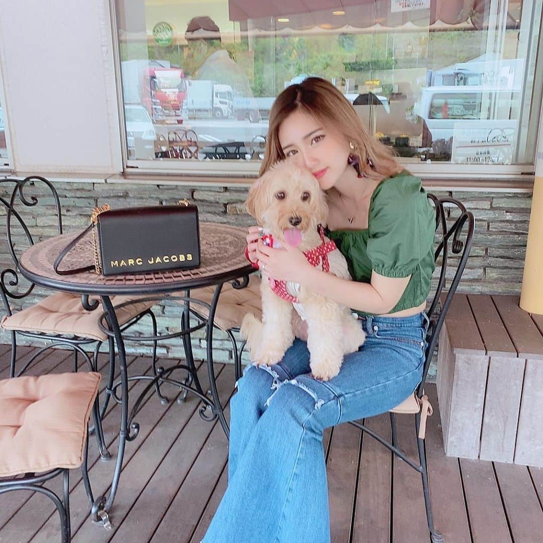 守田美咲のインスタグラム：「愛犬のななちゃん🐶💓💓 #愛犬との暮らし #旅行 #愛犬のいる生活 #キャバプー」