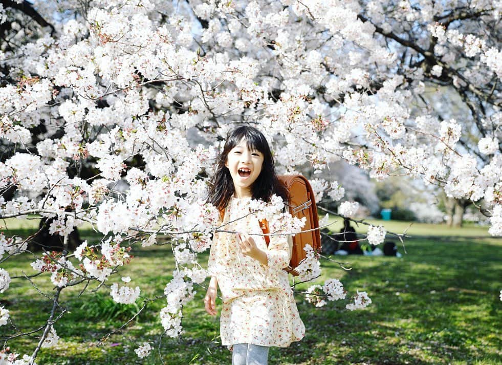 gracocoro Ryoko ONLINE SHOP＜グラこころ＞さんのインスタグラム写真 - (gracocoro Ryoko ONLINE SHOP＜グラこころ＞Instagram)「満開の頃🌸 少しずつですが 学校もはじまり… とーっても楽しそう！ ・ 蒸し暑い中 汗をかきながら帰ってくるけど 短い間でも たくさんの出会いと学びがある様子。 ・ そんな姿に ちょっとずつ日常を感じ 取り戻す日々です。 ・ ・ #桜 #入学 #入学おめでとう #ランドセル #ピカピカの1年生 #ピカピカの一年生 #土屋鞄ランドセル #土屋鞄 #土屋鞄製造所 #女の子ママ #小学生ママ #新一年生 #新1年生 #新1年生準備 #新1年生のランドセル #クラリーノ #アトリエクラリーノ #アトリエシリーズ #土屋鞄アトリエシリーズ #入学記念撮影 #入学記念 #入学記念写真」6月10日 20時21分 - gracocoryoko