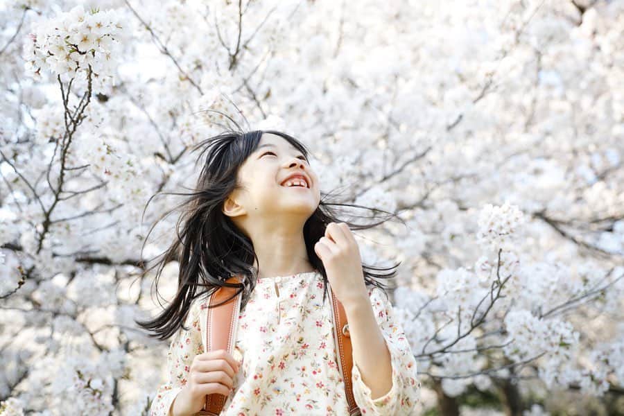 gracocoro Ryoko ONLINE SHOP＜グラこころ＞さんのインスタグラム写真 - (gracocoro Ryoko ONLINE SHOP＜グラこころ＞Instagram)「やっぱり桜は特別🌸 ・ 入学式でも撮るだろうと 入学式に用意していた服ではなく カジュアルな雰囲気で撮影。 ・ この後急遽入学式がなくなってしまい 残念だったけど… ・ 娘らしい、 ナチュラルな雰囲気で よかったかな☺️ とにかく、桜フォトが残せて 本当によかった…！ ・ ・ 年始、まだコロナが深刻化してないころ 今年大切にしたいことのひとつとして 「小学校生活をサポートできるよう、私も時間の使い方を考える」と書いていたけれど stay home期間を経て その気持ちがより大きくなっています。 ・ ・ ・ #桜 #入学 #入学おめでとう #ランドセル #ピカピカの1年生 #ピカピカの一年生 #土屋鞄ランドセル #土屋鞄 #土屋鞄製造所 #女の子ママ #小学生ママ #新一年生 #新1年生 #新1年生準備 #新1年生のランドセル #クラリーノ #アトリエクラリーノ #アトリエシリーズ #土屋鞄アトリエシリーズ #入学記念撮影 #入学記念 #入学記念写真」6月10日 20時39分 - gracocoryoko