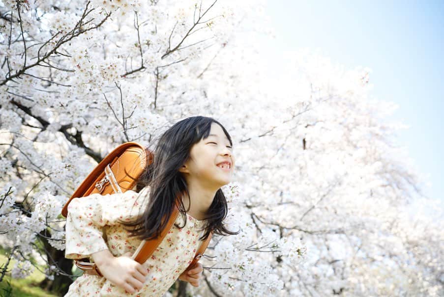 gracocoro Ryoko ONLINE SHOP＜グラこころ＞さんのインスタグラム写真 - (gracocoro Ryoko ONLINE SHOP＜グラこころ＞Instagram)「やっぱり桜は特別🌸 ・ 入学式でも撮るだろうと 入学式に用意していた服ではなく カジュアルな雰囲気で撮影。 ・ この後急遽入学式がなくなってしまい 残念だったけど… ・ 娘らしい、 ナチュラルな雰囲気で よかったかな☺️ とにかく、桜フォトが残せて 本当によかった…！ ・ ・ 年始、まだコロナが深刻化してないころ 今年大切にしたいことのひとつとして 「小学校生活をサポートできるよう、私も時間の使い方を考える」と書いていたけれど stay home期間を経て その気持ちがより大きくなっています。 ・ ・ ・ #桜 #入学 #入学おめでとう #ランドセル #ピカピカの1年生 #ピカピカの一年生 #土屋鞄ランドセル #土屋鞄 #土屋鞄製造所 #女の子ママ #小学生ママ #新一年生 #新1年生 #新1年生準備 #新1年生のランドセル #クラリーノ #アトリエクラリーノ #アトリエシリーズ #土屋鞄アトリエシリーズ #入学記念撮影 #入学記念 #入学記念写真」6月10日 20時39分 - gracocoryoko