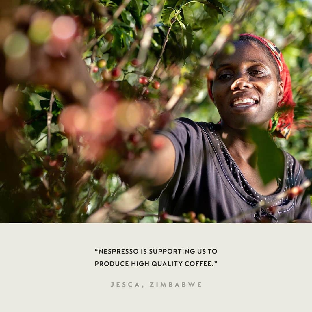 Nespressoさんのインスタグラム写真 - (NespressoInstagram)「Discover how the Reviving Origins program supports farmers like Jesca in the endangered coffee regions of Zimbabwe, through sustainable farming practices.  #BeyondTheBean #CoffeeStories #RevivingOrigins #Nespresso」6月10日 21時07分 - nespresso