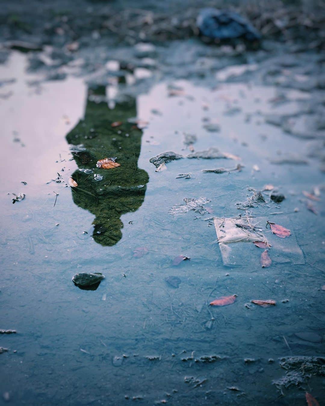 ima_ju / Jun Iのインスタグラム：「: : Sorrow | 哀愁 : : ::」