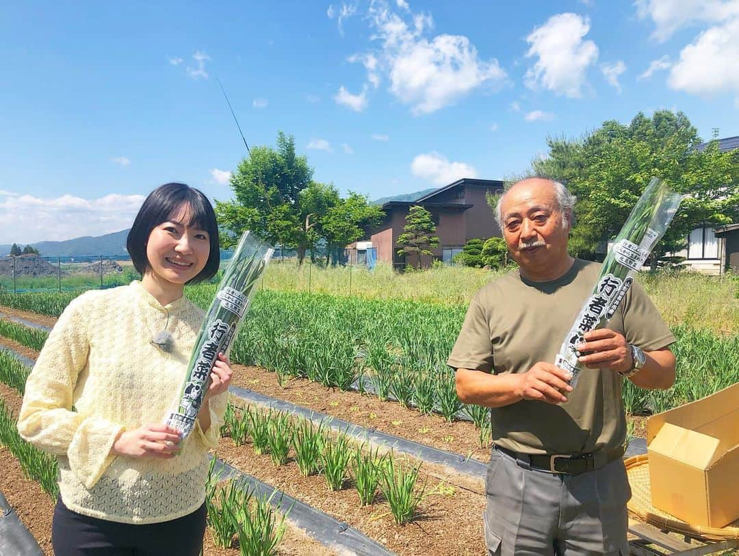 菅原智郁さんのインスタグラム写真 - (菅原智郁Instagram)「あす 11日(木)の #ゴジダス では、東北お取り寄せグルメをご紹介！ 長井名物 #行者菜 を使ったグルメですよ☺️ 東北6県で放送されます✨ (他県の放送日は未定です) お楽しみに！！ . . #東北 #山形 #長井 #山形テレビ #アナウンサー #菅原智郁  @nagai_city_official @nagai_kankou」6月10日 22時39分 - tomotomokaaaa22