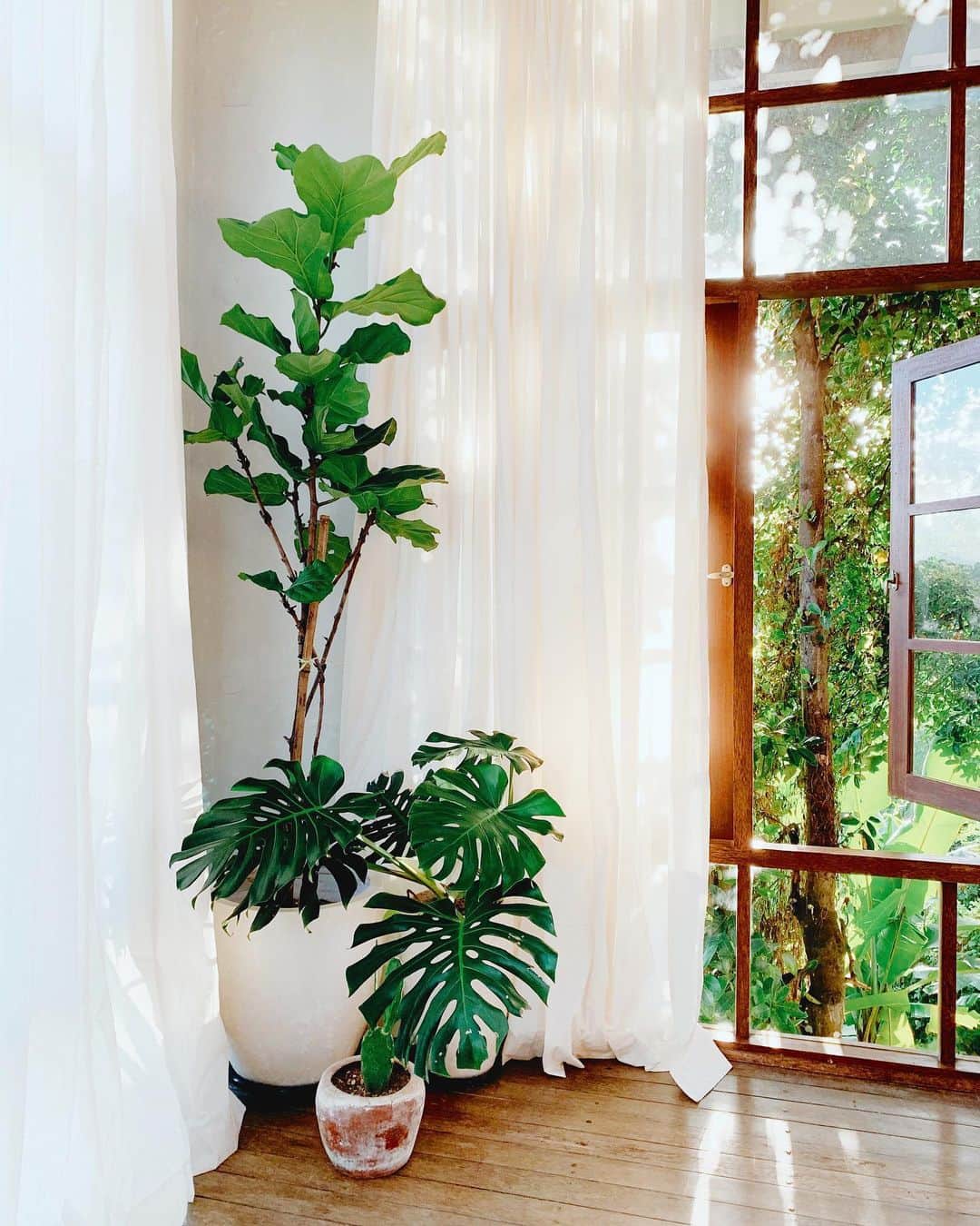 リリー＝ローズ・メロディのインスタグラム：「Quick iPhone snap of my fav bedroom corner 🌱// My beautiful monstera got two new beautiful leafs since I took this photo. Can’t believe I could get that excited about having plants and watching new leafs growing one day!」