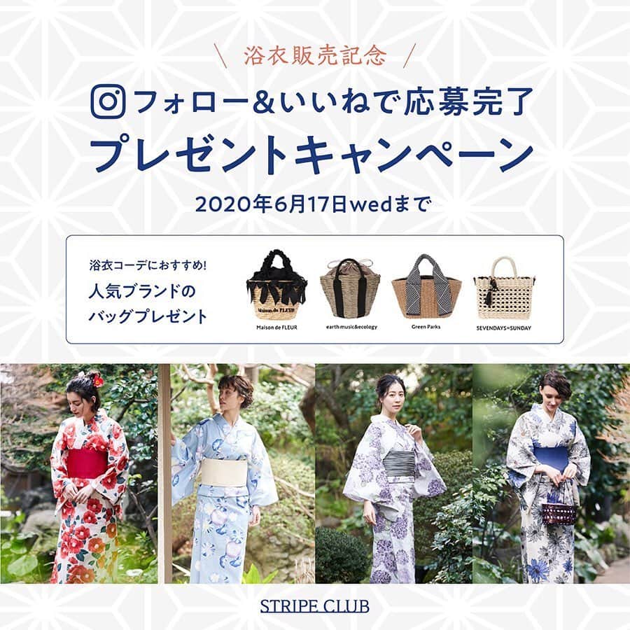 のインスタグラム：「プレゼントキャンペーン🎁 《フォロー＆キャンペーン投稿にいいね》 のみでご応募可能！ . 抽選で4名様に 浴衣におすすめのバッグをプレゼント！ . 〜〜〜〜〜〜〜 . STRIPE CLUBでは 2020年浴衣の販売がスタートしました！👘 . 浴衣販売を記念して… 浴衣コーデにおすすめ人気ブランドのバッグ プレゼントキャンペーンを開催中です♪ . ◆ご応募方法◆  ① @stripe_club をフォロー  ② @stripe_club のキャンペーン投稿(本投稿)にいいね  ③応募完了！ . . 📝ストーリーズ投稿で当選倍率2倍に↓ 本投稿【紙飛行機マーク】から ストーリー投稿をしてキャンペーンを共有するだけ♪ . ご応募期間  2020年6/11(木)12:00~6/17(水)23:59 . 〜〜〜〜〜〜〜 . 同期間、Twitterでもプレゼントキャンペーンを開催しております。 Instagramとは別でバッグのプレゼントをご用意しているので、ぜひTwitterでもご応募してみて下さいね♪ . 〜〜〜〜〜〜〜 . STRIPE CLUBの夏浴衣、気になるブランド浴衣はございましたか？ ぜひ皆様のキャンペーン参加をお待ちしております！ . 〜〜〜〜〜〜〜 . 《当選者へのご連絡》 ※ご当選者には@stripe_club よりダイレクトメッセージにてご連絡をいたします。 ※当選の連絡後7日以内に連絡が取れない場合は、無効となります。 . 《個人情報について》 ※いただいた個人情報は本キャンペーンの当選のご案内、プレゼントの発送のみに使用させていただき、本件以外に利用することはございません。 ※商品発送後は弊社個人情報保護方針に従い、取扱いいたします。 . 《注意事項》 ※バッグの種類はお選び頂けません。 ※Instagram、Twitter両方でご応募頂けますが当選は1人1回までとなります。 ※公開アカウントのみ、対象とさせていただきます。 ※応募完了の確認や当落選についてのお問い合わせは、お答えできませんのであらかじめご了承ください。 ※ご応募は日本国内在住の方に限ります。 .  #stripeclub #ストライプクラブ #プレゼントキャンペーン#2020年夏浴衣 #浴衣 #ゆかた」