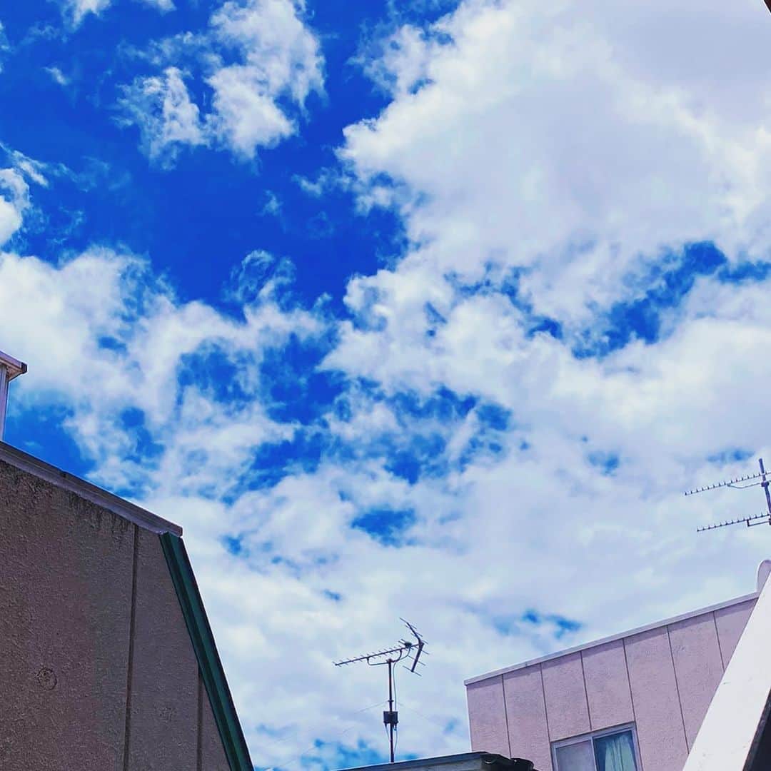 国生さゆりさんのインスタグラム写真 - (国生さゆりInstagram)「ふとっと見上げた　空はとても青かった✨🍀✨✨#青い #見上げる #いい天気 #国生さゆり」6月11日 11時59分 - sayurikokusho