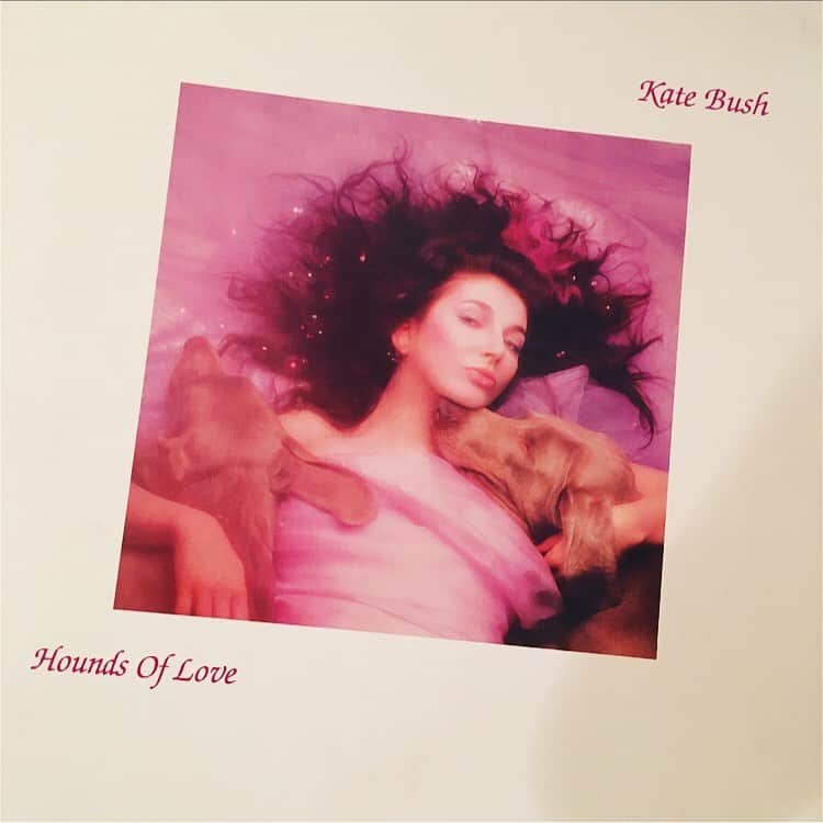 今村沙緒里のインスタグラム：「Kate Bush💜 レコードに出会っちゃいました。 映像を作っている時 パソコンばかりで 目がチカチカしちゃって。 (子供みたいですが…) レコードや音楽に癒されました。 可愛くてかっこよくて好きです🖤 ・ Kate Bush's record！ I ❤︎ her music！！ ・ #katebush #houndsoflove #music #record #음악 #아트 #レコード #ケイトブッシュ #音楽 #すき」