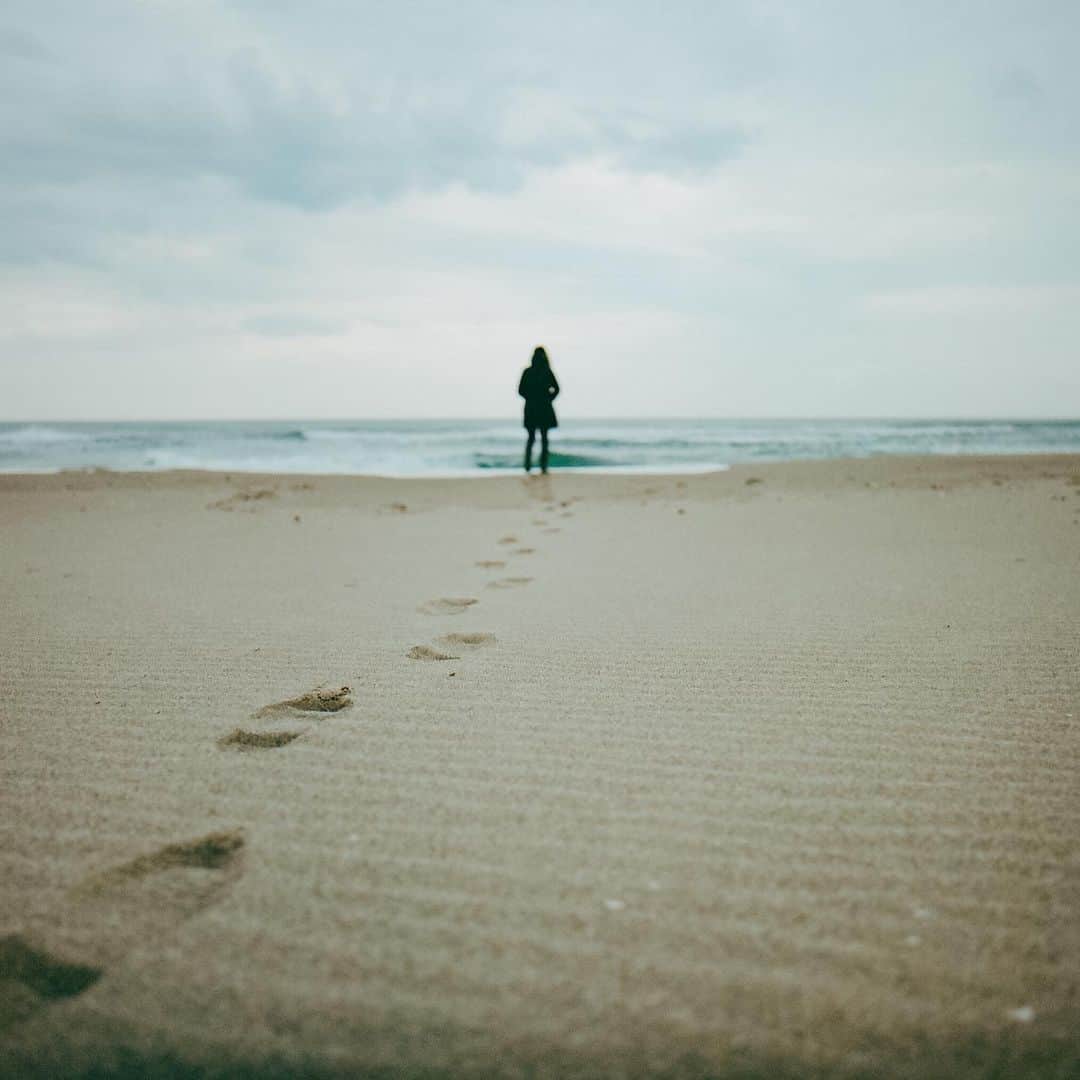 haraoのインスタグラム：「雨の日の流儀 - - - #GPW_members_only  #as_archive #hueart_life #ig_phos #indy_photolife #screen_archive #Rox_Captures #jp_mood #team_jp_ #IGersJP #RECO_ig #Lovers_Nippon_Portrait #art_of_japan_ #japan_daytime_view #daily_photo_jpn #bestjapanpics #tokyocameraclub #film_com #jp_portrait部 #filmfeed #analogphotography #スクリーンに恋して #被写体募集」
