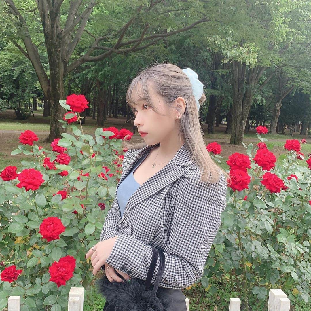 ののこのインスタグラム