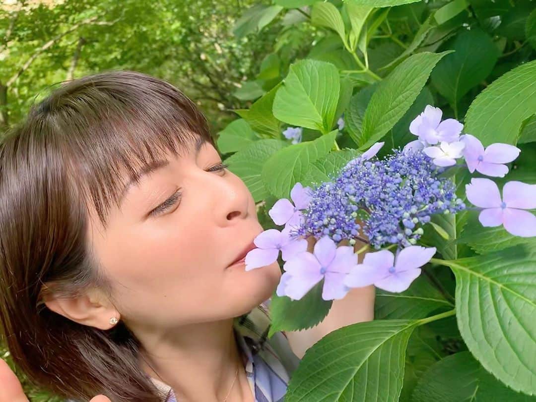 太田景子さんのインスタグラム写真 - (太田景子Instagram)「今朝もグッド！モーニングをご覧いただきありがとうございました😃梅雨の季節スタートだよ🐸🌈」6月11日 12時57分 - keiko_ota1121