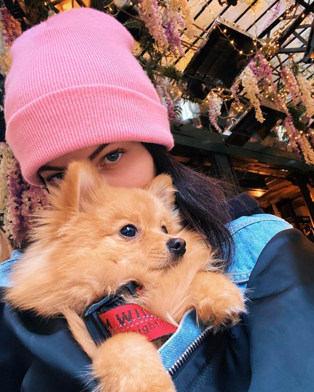 ティラーヌ・ブロンドーのインスタグラム：「💖」