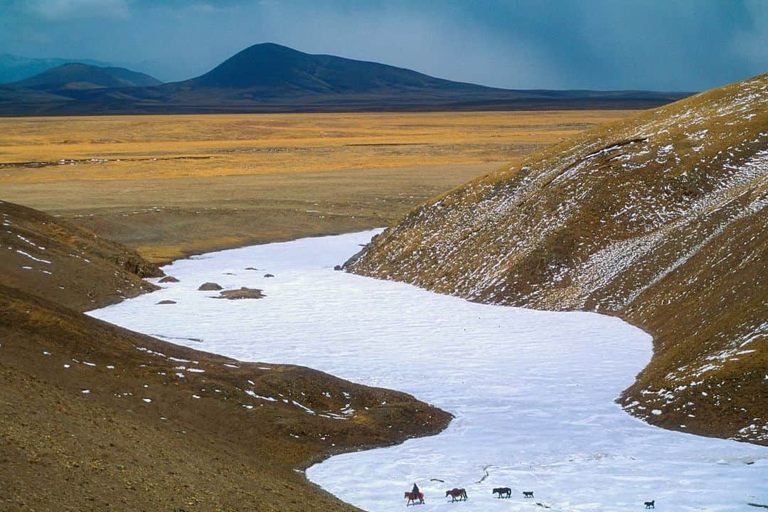 Michael Yamashitaさんのインスタグラム写真 - (Michael YamashitaInstagram)「Headwaters: the sacred source of the Mekong River is a frozen river bed 17,000 feet above sea level on the Tibetan Plateau in China's Qinghai Province. Here the Mekong is called by the first of its many local names -- Dza Chu -- which means Water of Stone, for  its origins in the bare rock pinnacles of the Plateau. Sadly, the name may come to describe the entire river due to glacial loss. Tibet is estimated to contain 14 percent of the world’s glaciers mass, and the river and those who live along it depend on the snows and glacial run-off from Tibet's glaciers. That is why it is known as the Water Tower of Asia, as water for irrigation, drinking water and hydropower is stored and distributed from there. A  temperature rise of 1.3 Celsius, almost three times the global average, over the past 50 years, has resulted in the shrinking of Tibet’s glaciers, which in turn has already begun to have a profound effect on the river downstream.  #mekong #mekongriver #climatechange #tibetanplateau #qinghai #zadoi . A limited number of signed copies of Mike’s out-of-print book “A Journey on the Mother of Waters: Mekong” are available to purchase form our website michaelyamashita.com or the link in our profile.」6月11日 4時57分 - yamashitaphoto