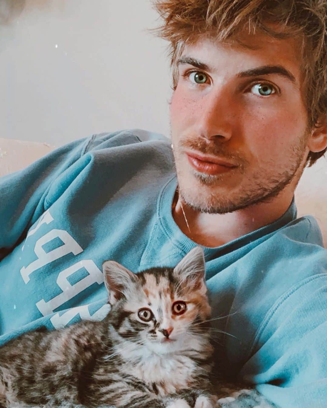 ジョーイ・グレーセッファのインスタグラム：「what’s cuter than kittens?? ending systemic racism ✊ the black square was cute, but we all have more work to do 💯 link in bio for petitions that *still* need signatures.」