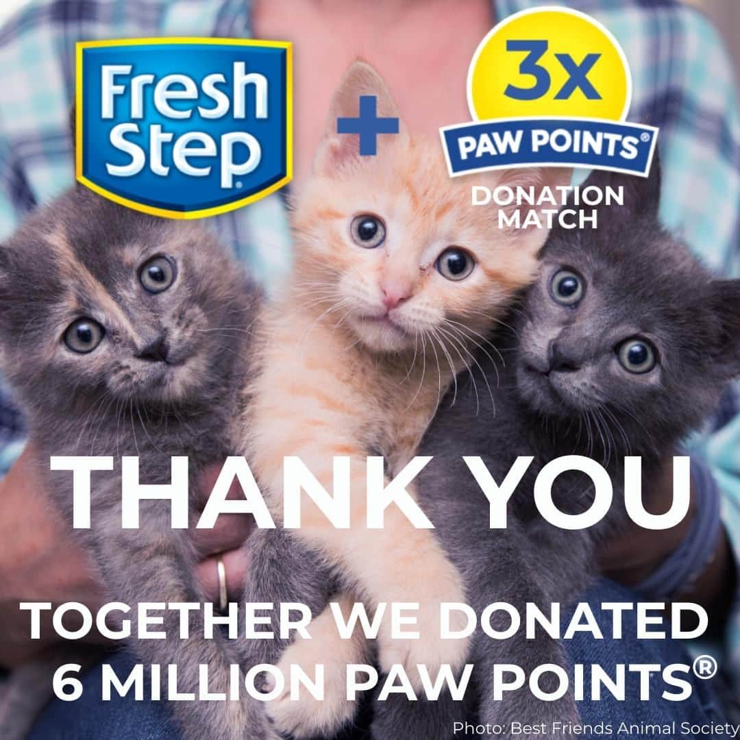 Fresh Stepのインスタグラム：「We did it! 🎊 We not only reached, but DOUBLED our original COVID-19 Paw Points® donation match goals! You generously donated 2 million points and we matched with 4 million more, for a total of 6 million points. 1,793 shelters have received Paw Points donations during this campaign, redeeming over 40,500 pounds of litter and other kitty supplies from our rewards catalog!  We couldn't have done this without your help. On behalf of our shelter members and all shelter cats out there - THANK YOU. 🙏」