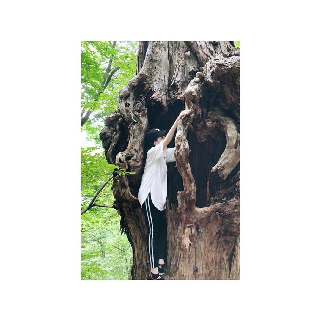 石田佳蓮のインスタグラム：「♡ キと仲良くなった☺︎ #🌳」