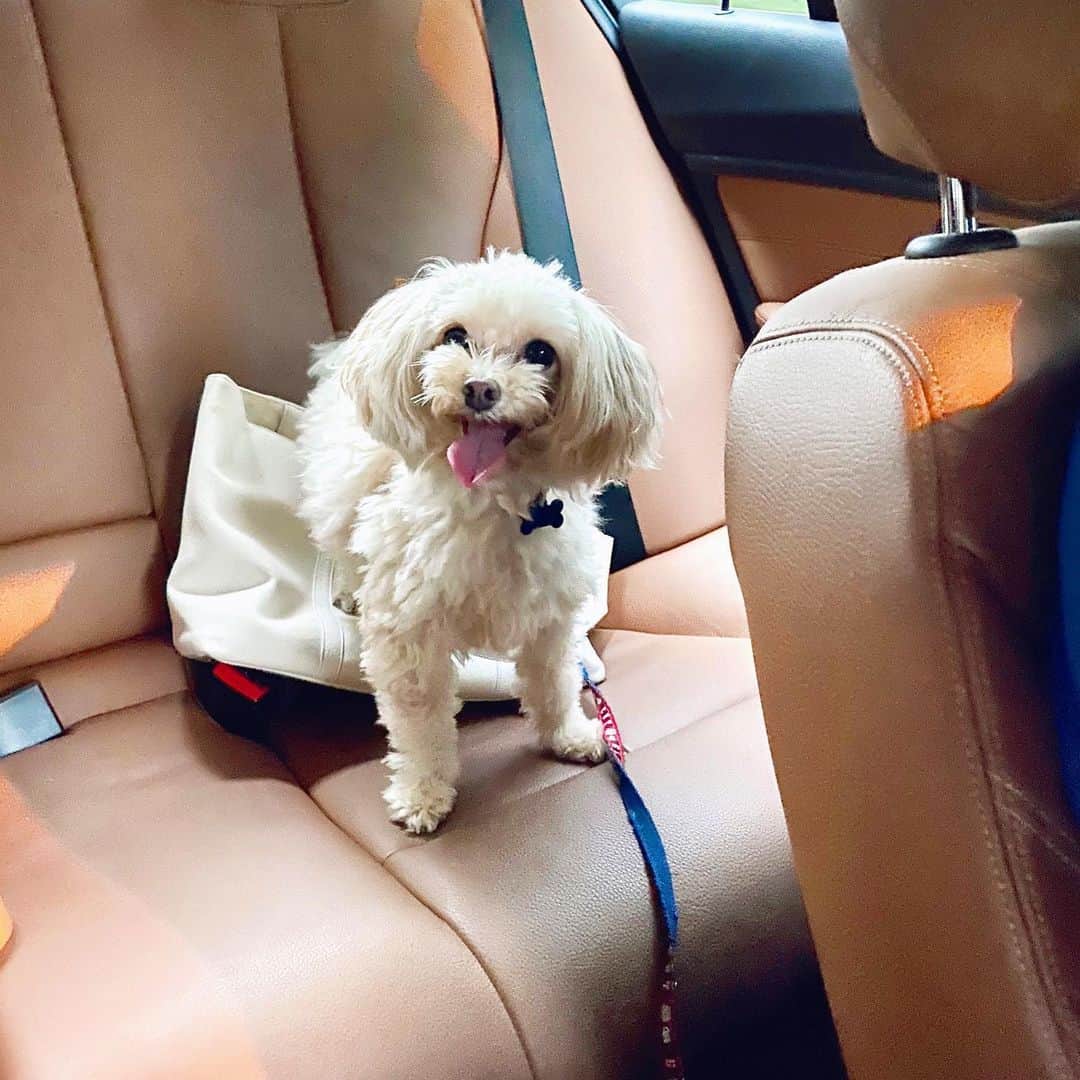 May Pakdee メイ パクディのインスタグラム